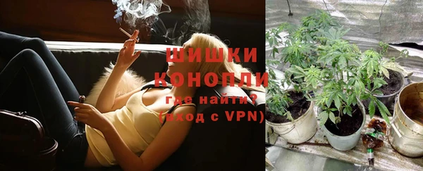 PSILOCYBIN Абаза