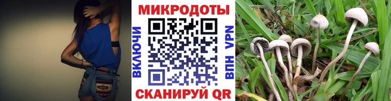 Галлюциногенные грибы Cubensis  где можно купить наркотик  гидра как войти  Костомукша 