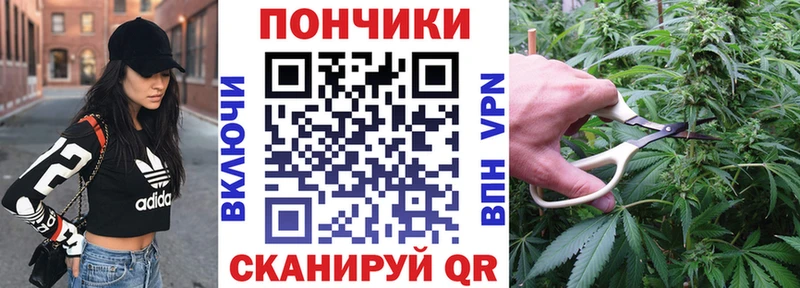 Бошки Шишки THC 21%  MEGA вход  Костомукша  закладки 